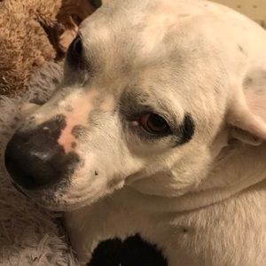 Meet your Posher, Joanne